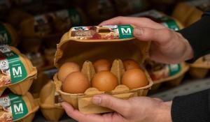 El 100% dels ous que comercialitza Bonpreu i Esclat són de gallines lliures